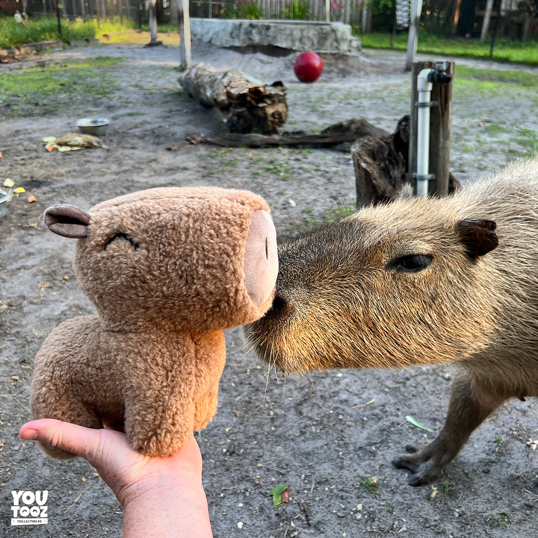 Capybara Plush (9in) - Image 2