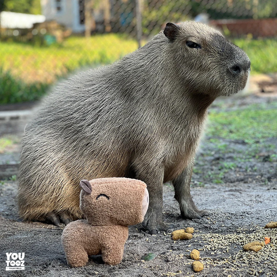 Capybara Plush (9in) - Image 5
