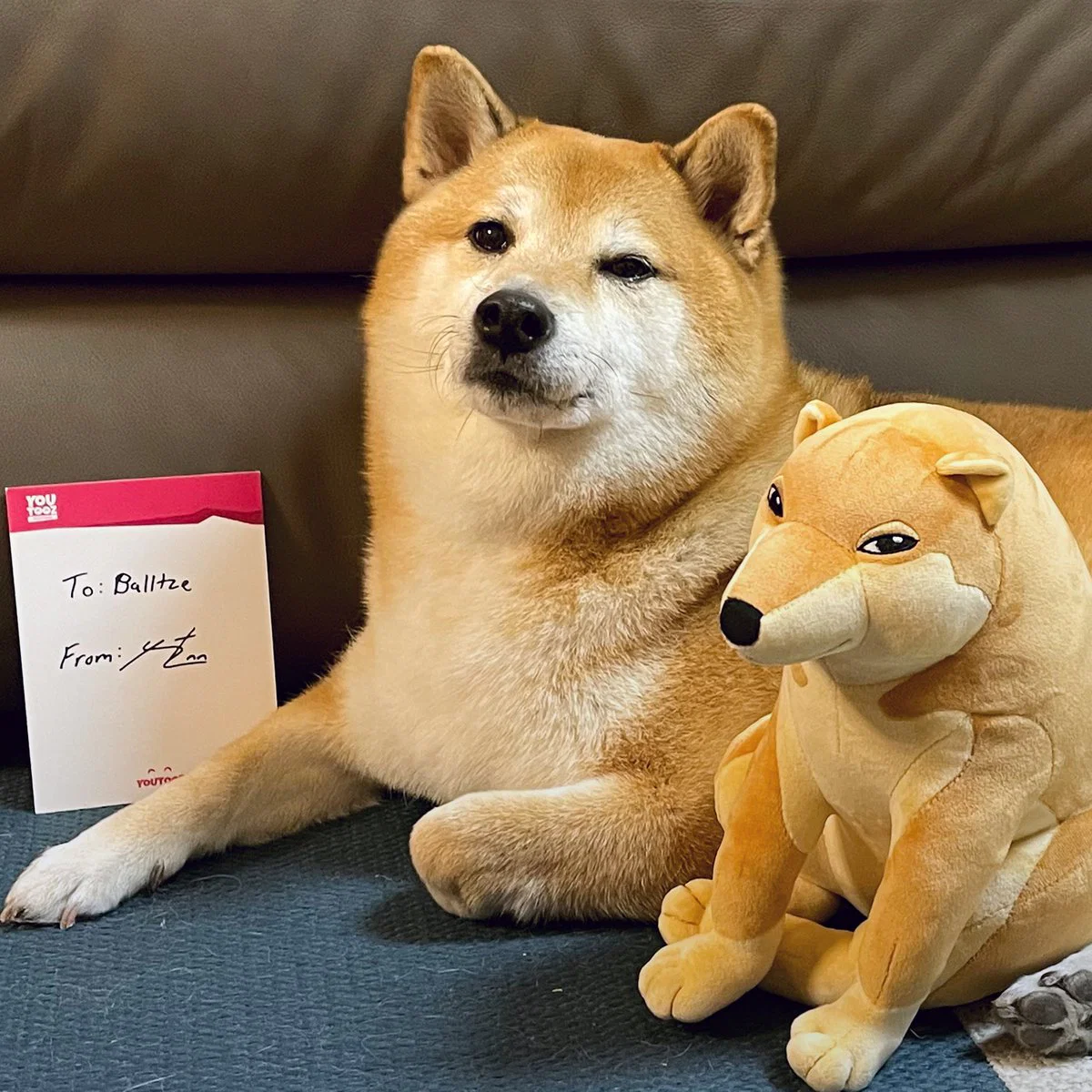 Cheems Plush (1ft) - Image 4
