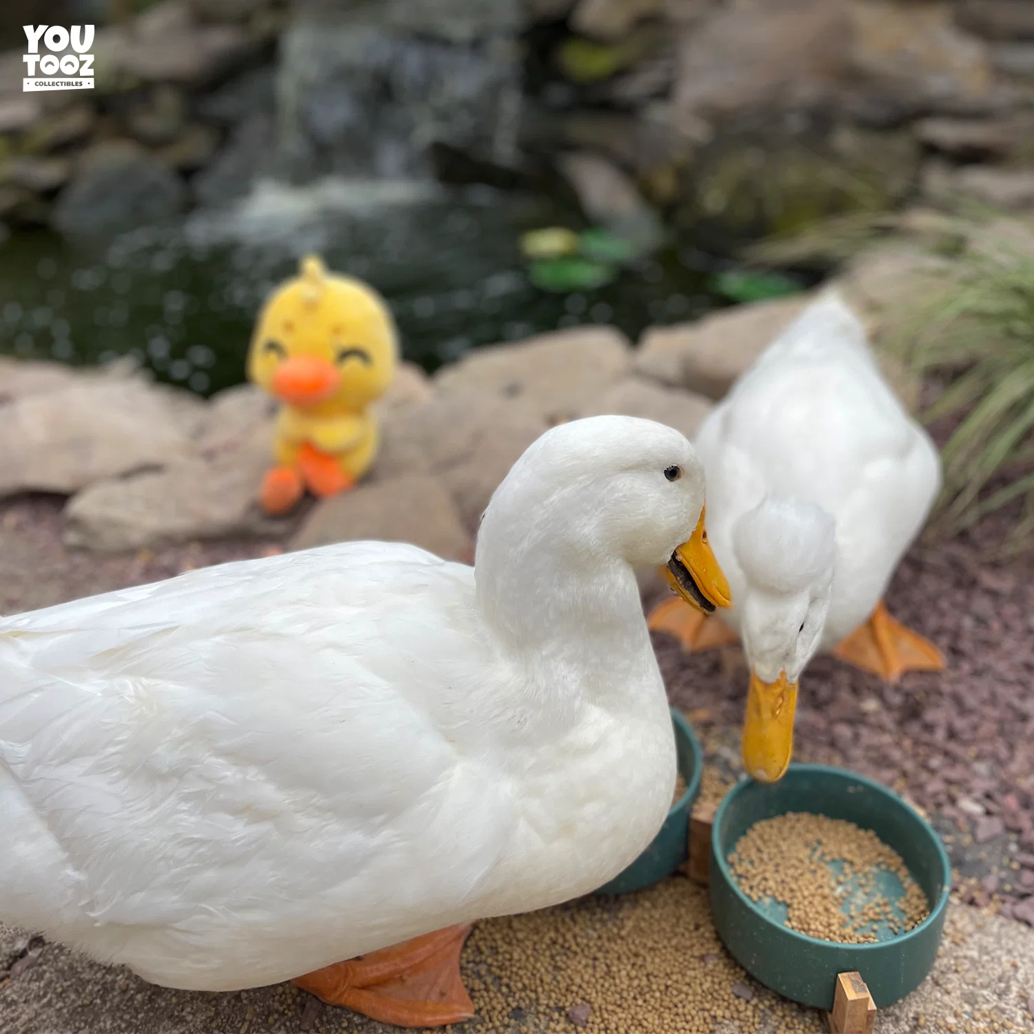 Duck This Plush (9in) - Image 5