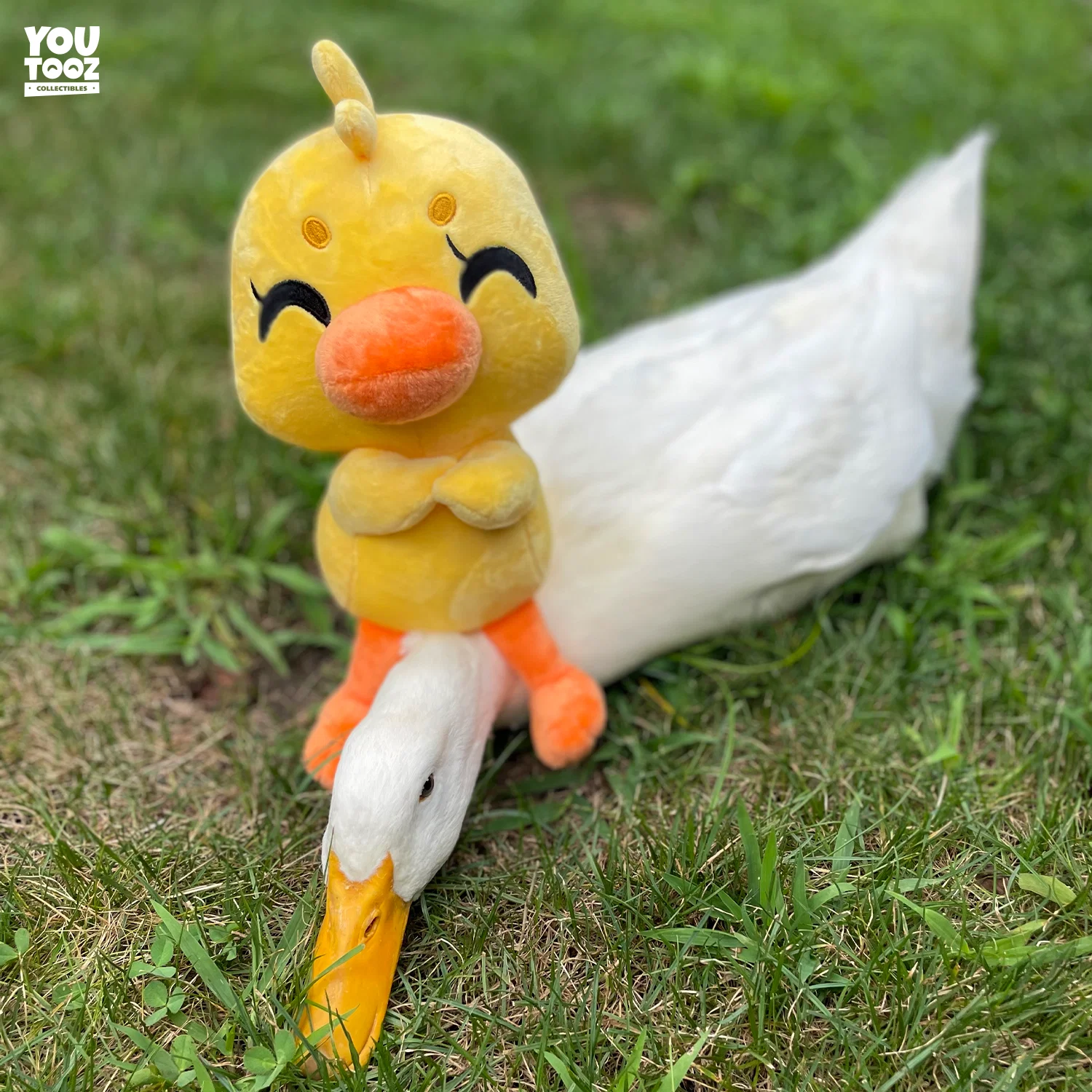 Duck This Plush (9in) - Image 6