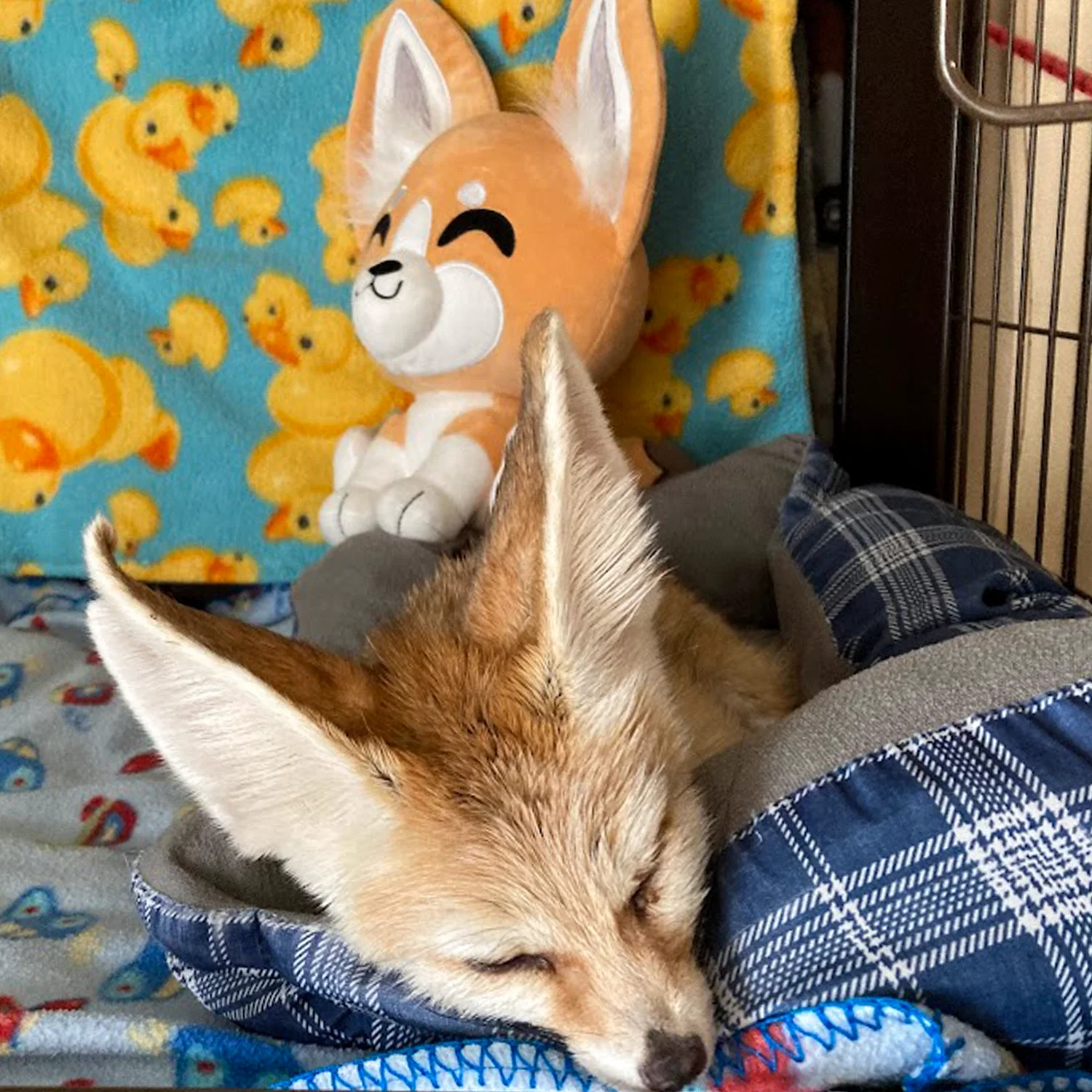 Fennec Fox Plush (9in) - Image 3