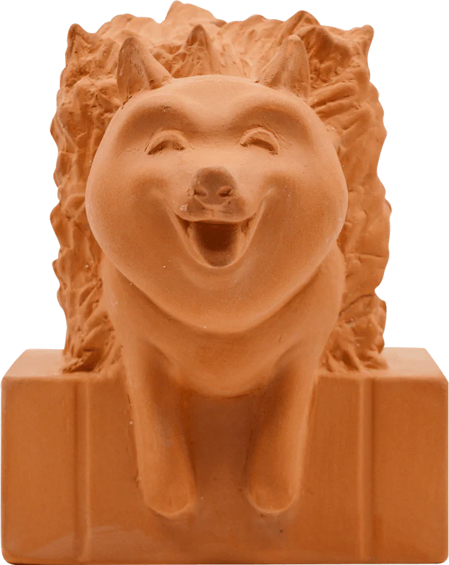 Hedgedoge (Chia Pet)