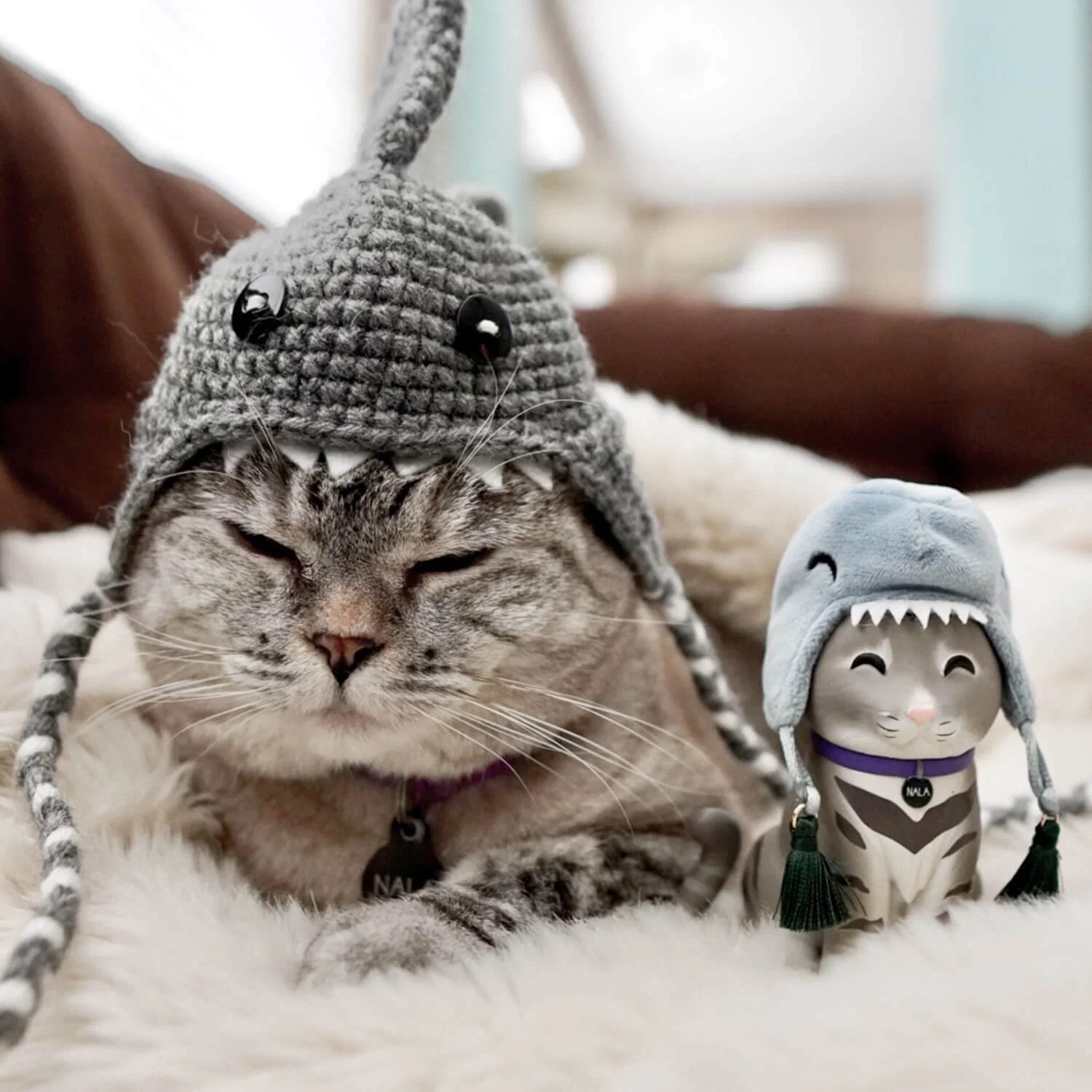 Nala the Cat - Image 4