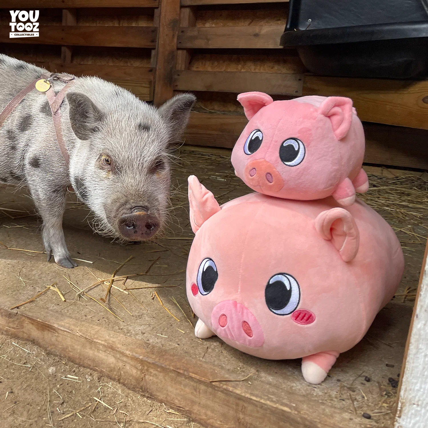 Piggy Pillow (1ft) - Image 6