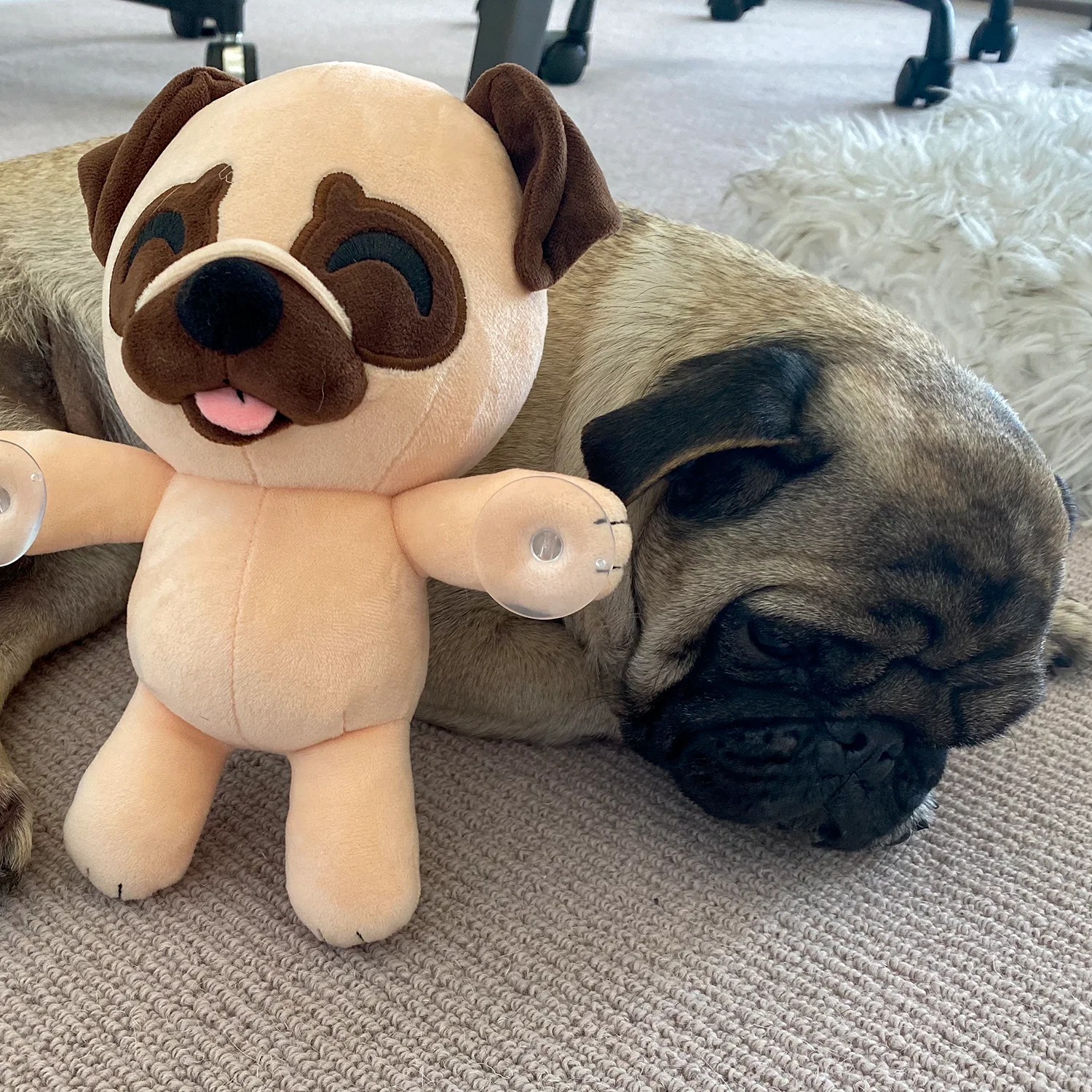 Pug Splatt Plush (9in) - Image 6