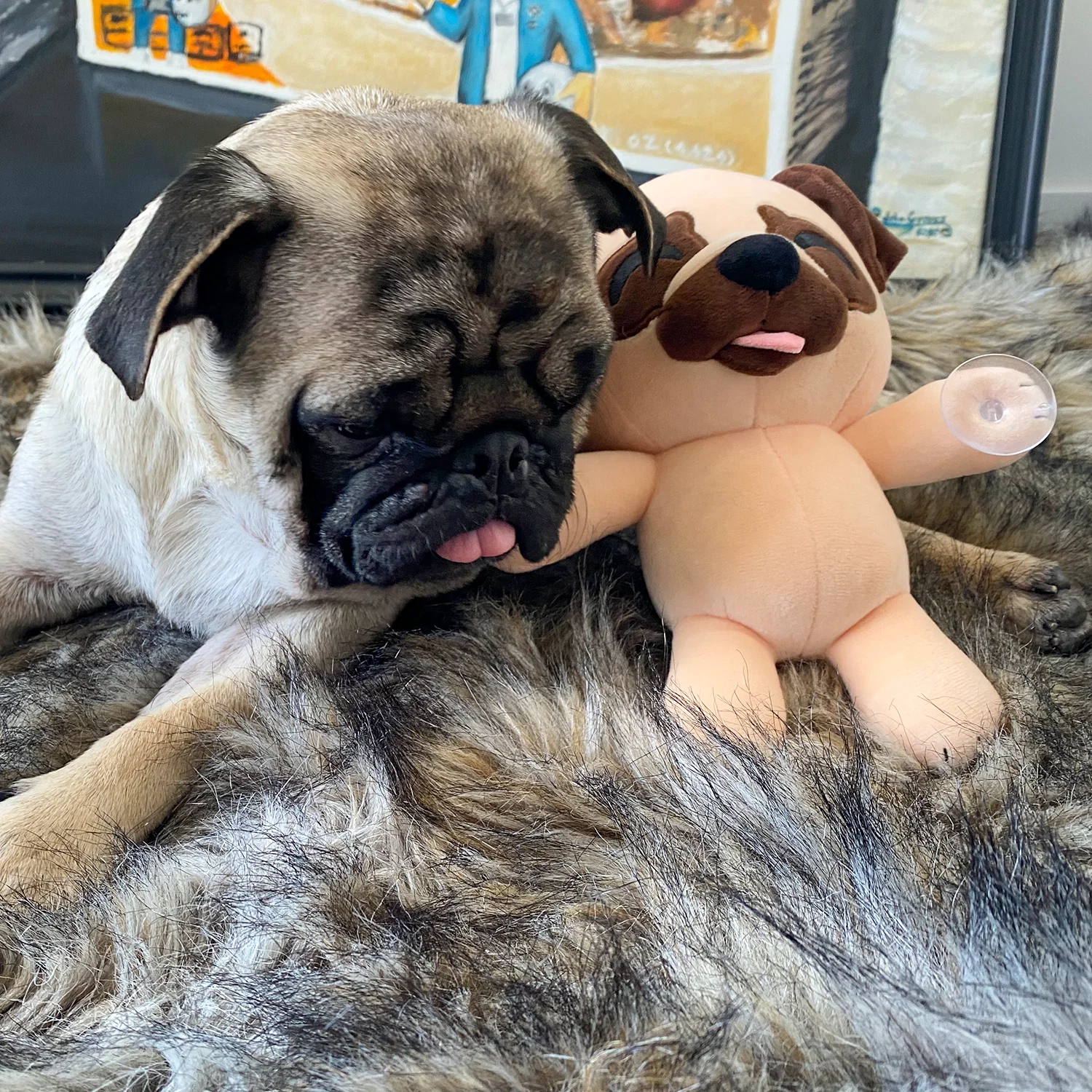 Pug Splatt Plush (9in) - Image 8