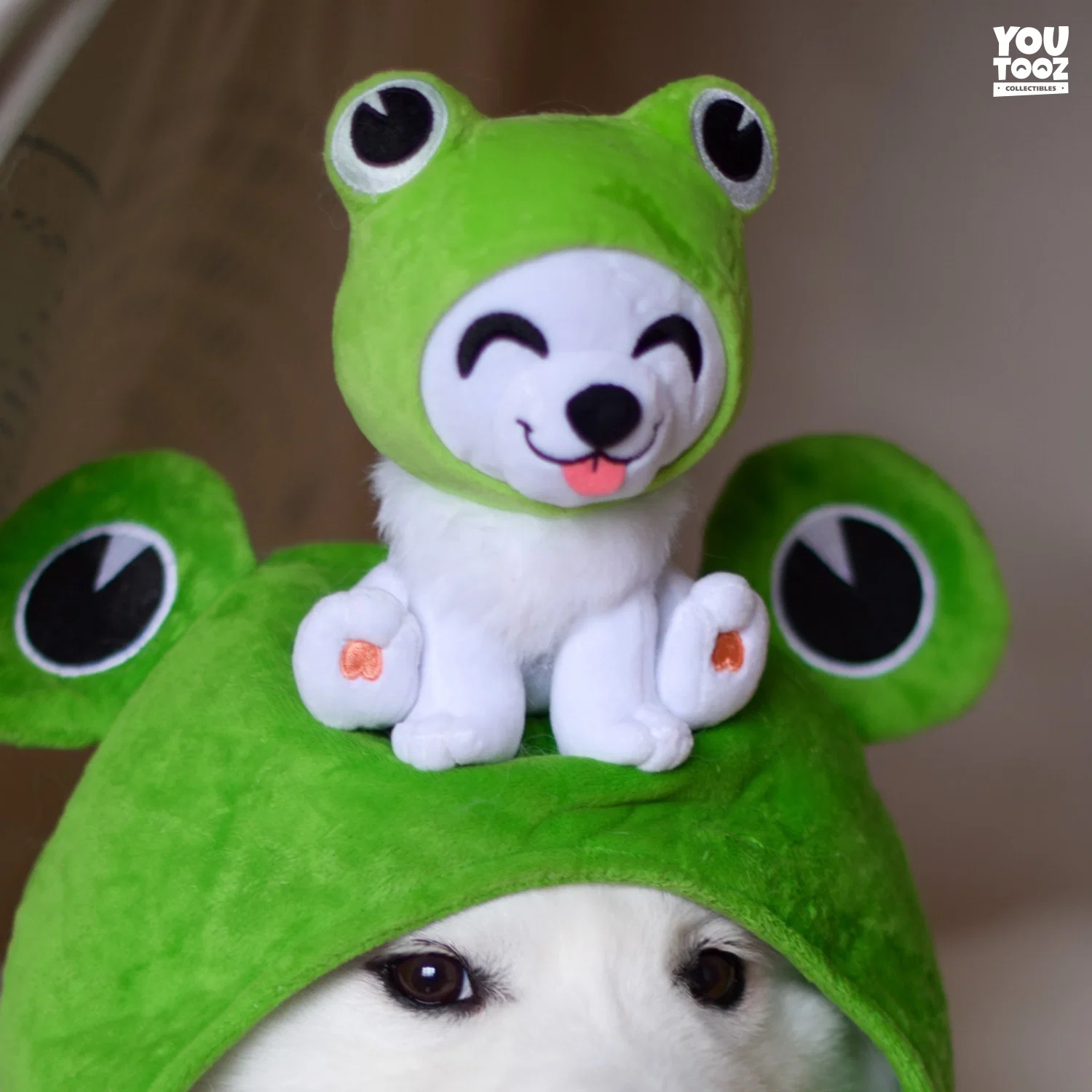 Shiro Froggy Plush (6in) - Image 5