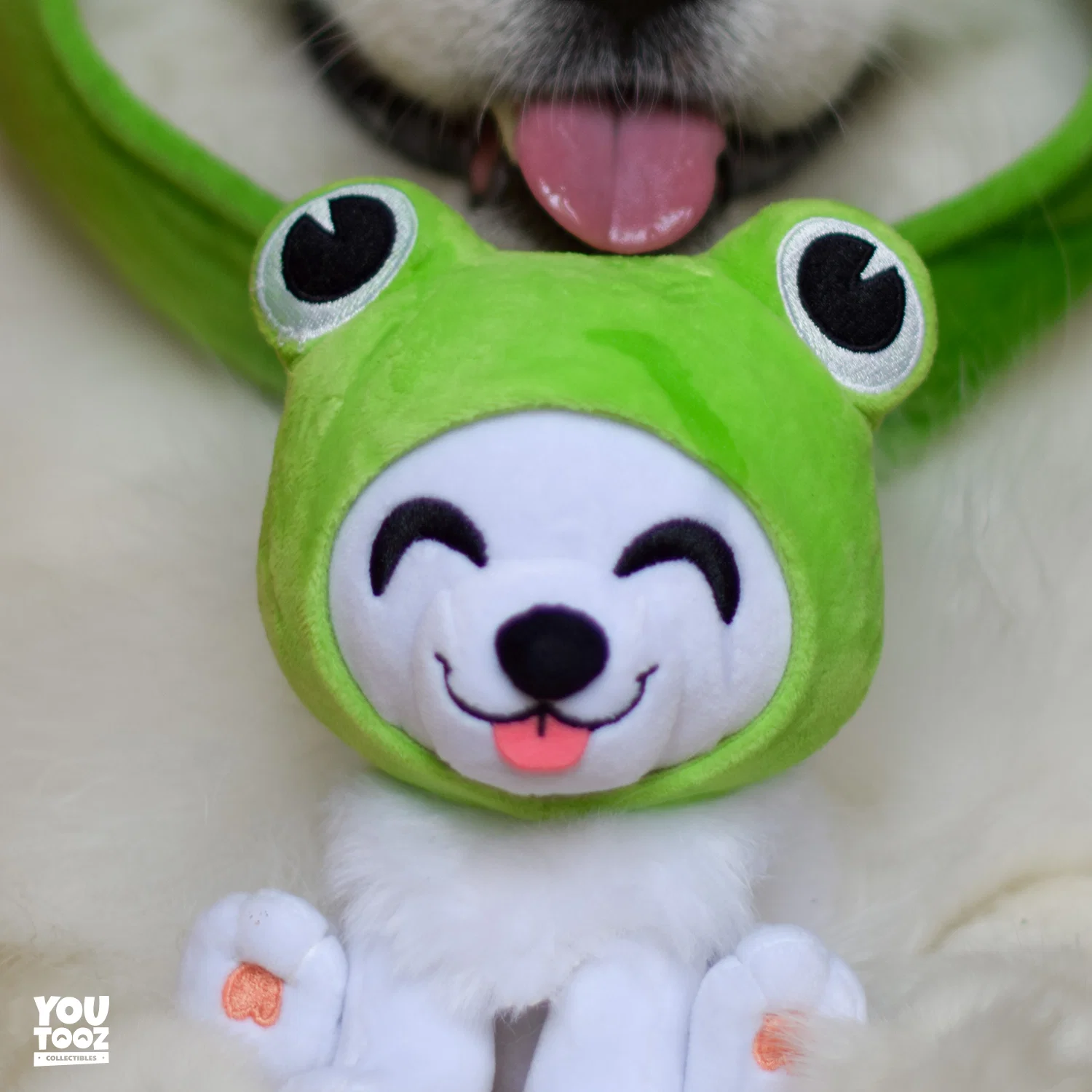 Shiro Froggy Plush (6in) - Image 7