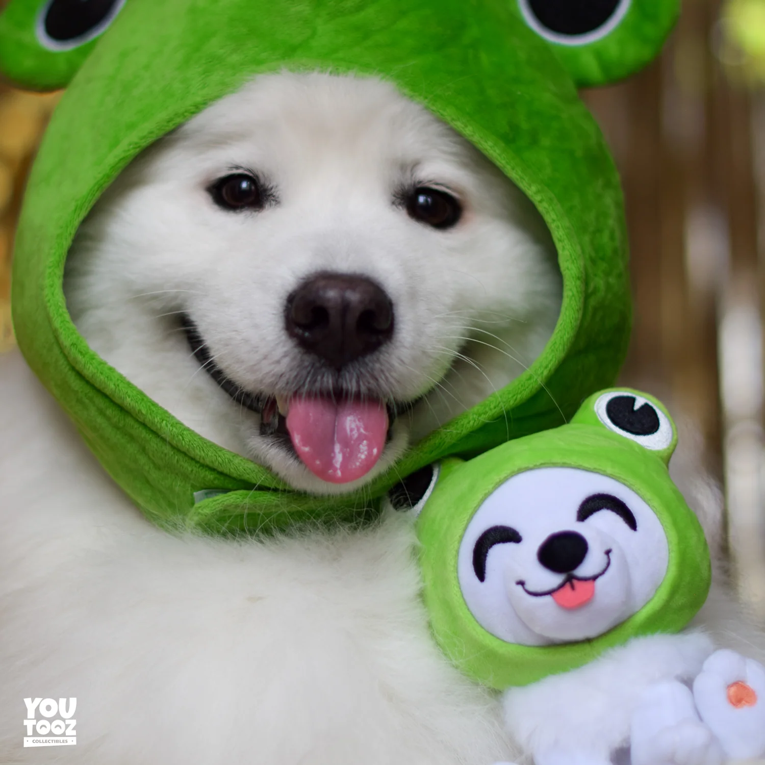 Shiro Froggy Plush (6in) - Image 8